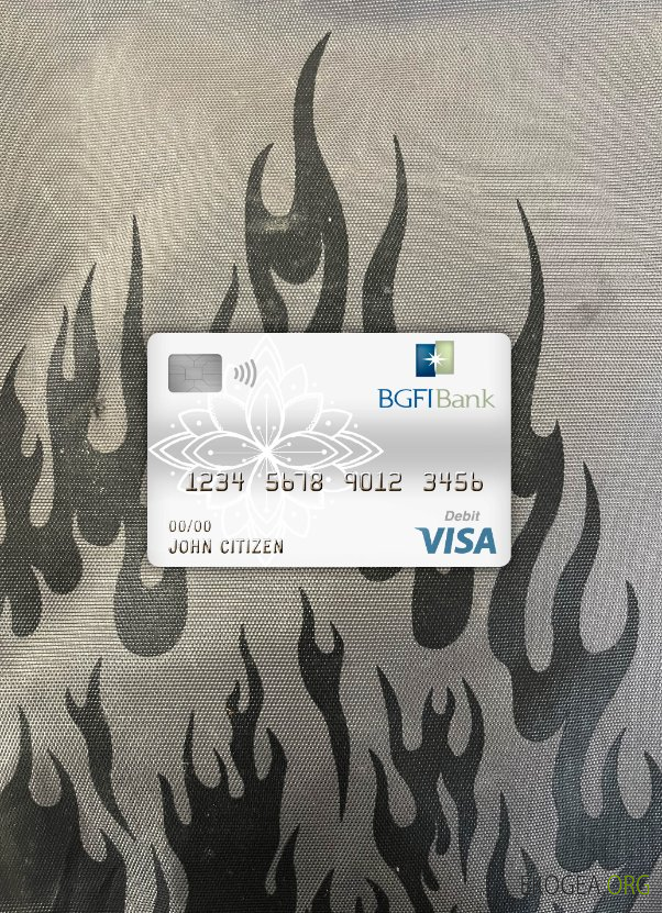 Cameroun BGFI banque visa carte de débit photolook ,